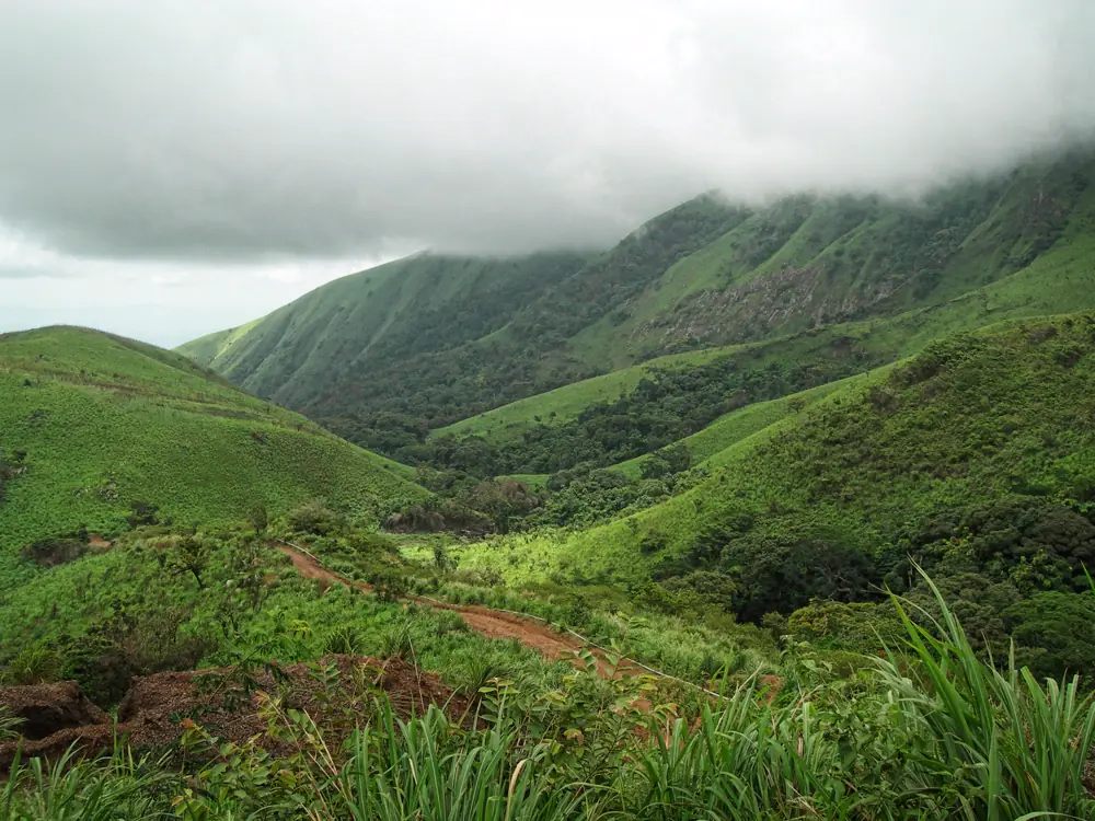 Mount Nimba Reserve