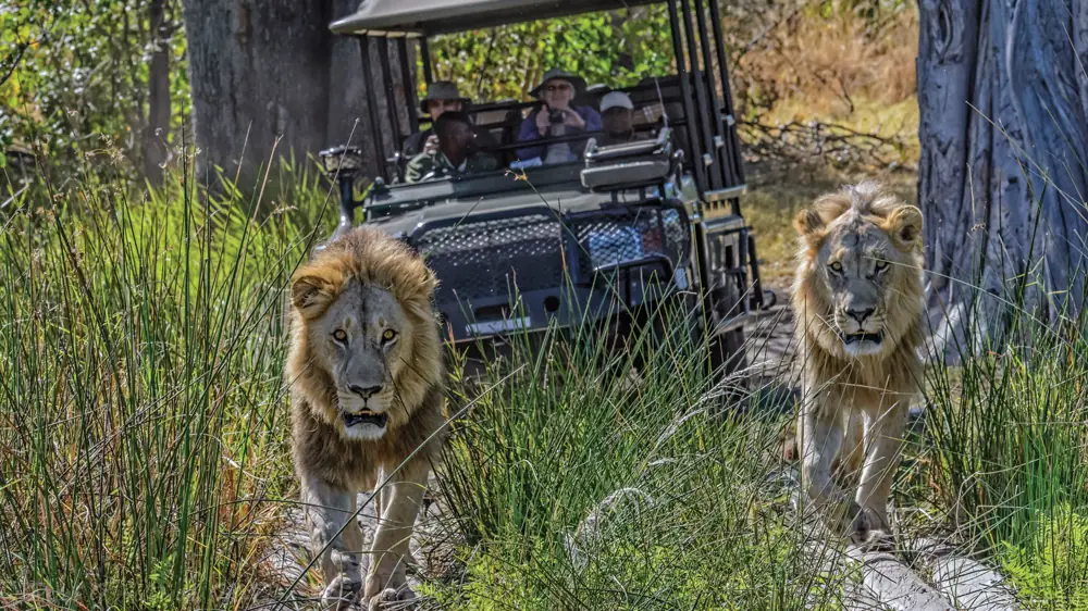 Okavango Delta