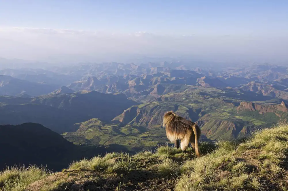 Simien Mountains National Park