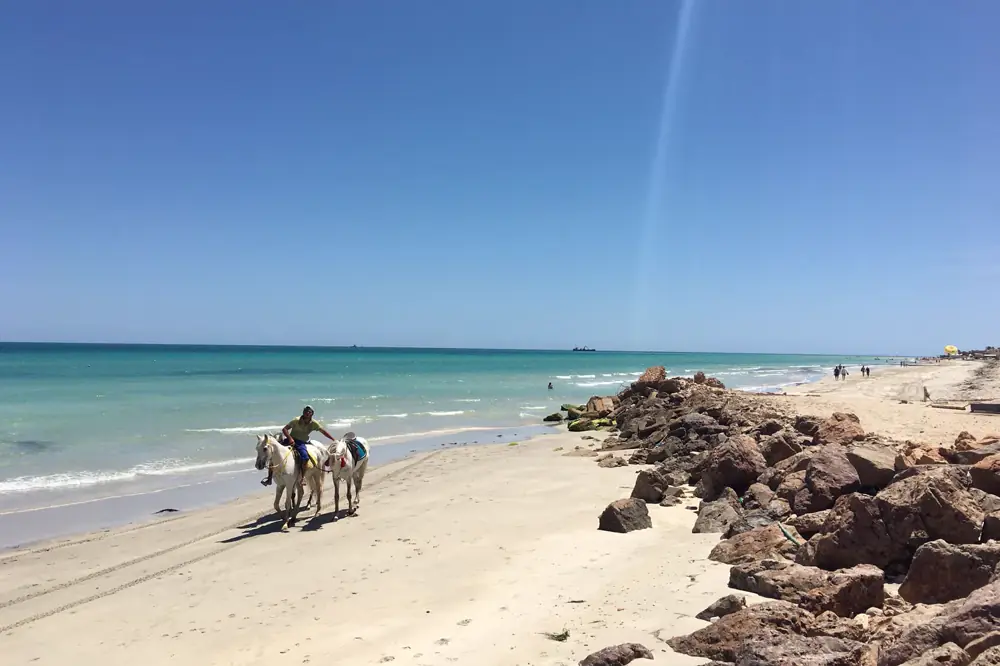 Djerba & The Southern Coast