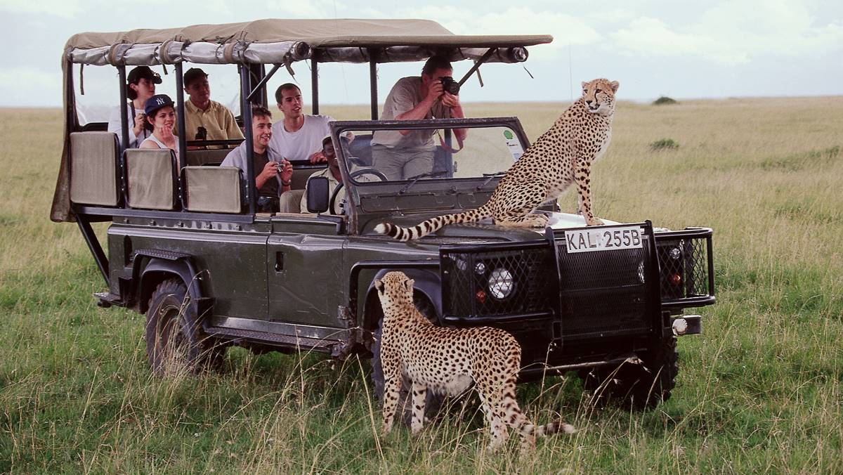 Serengeti